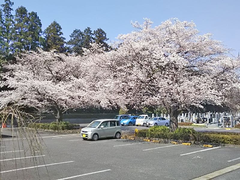 武蔵ヶ丘霊園