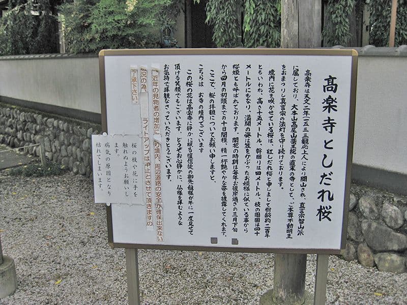 高楽寺