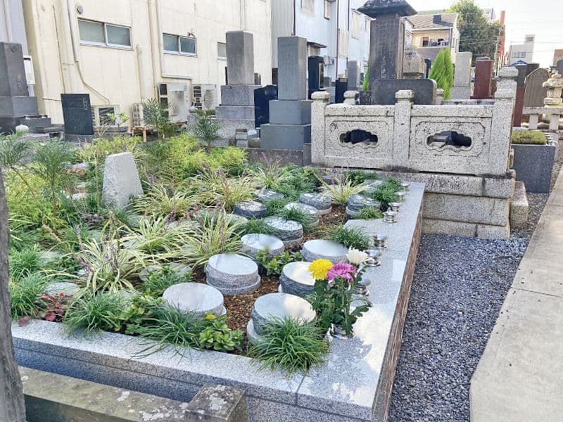 浄圓寺「プレミアム古河駅前樹木葬墓地」