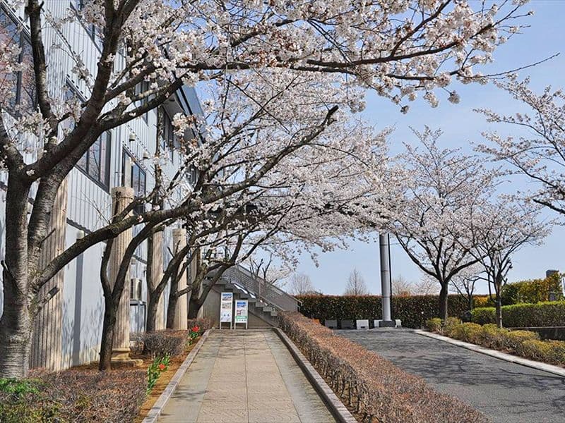 上尾霊園