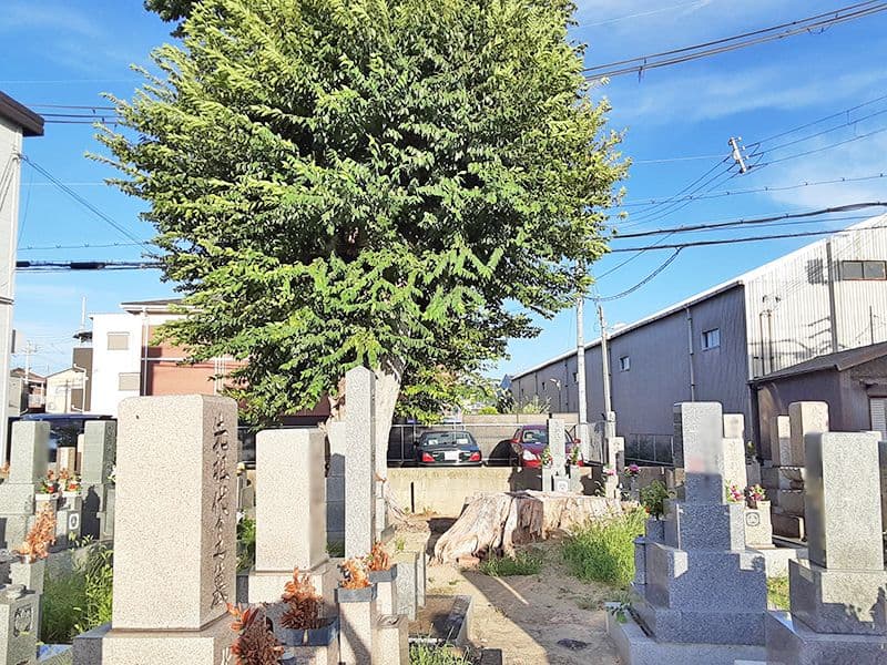 堀溝・新家墓地
