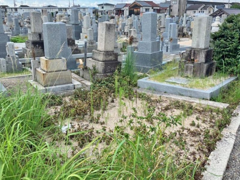 野の花墓地