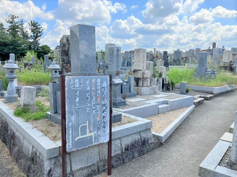 野の花墓地