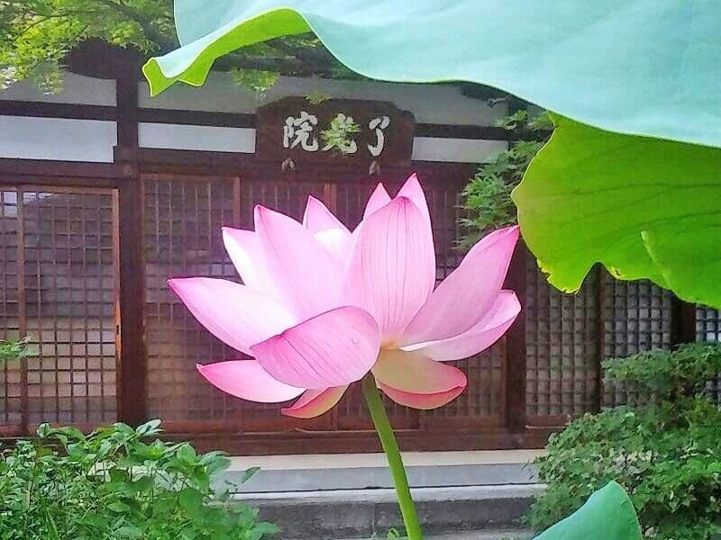 了光院墓苑