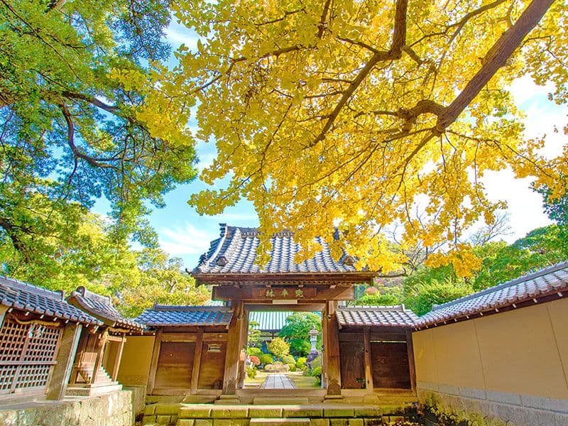 霊山寺