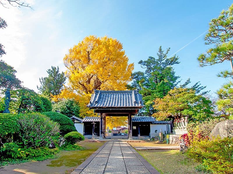霊山寺