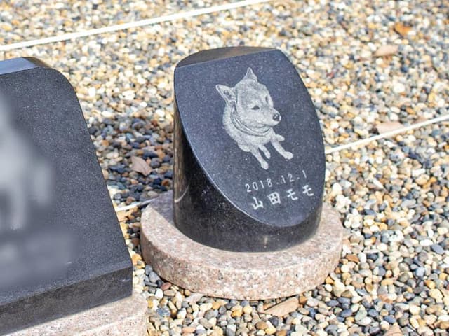 区画写真