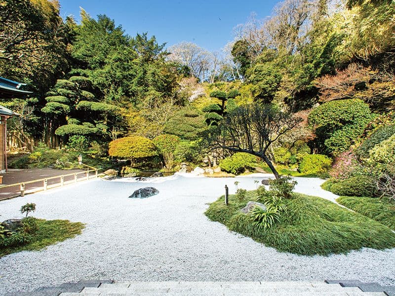 報国寺
