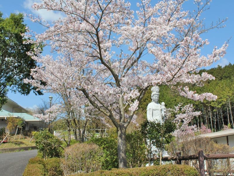 壷阪山霊園