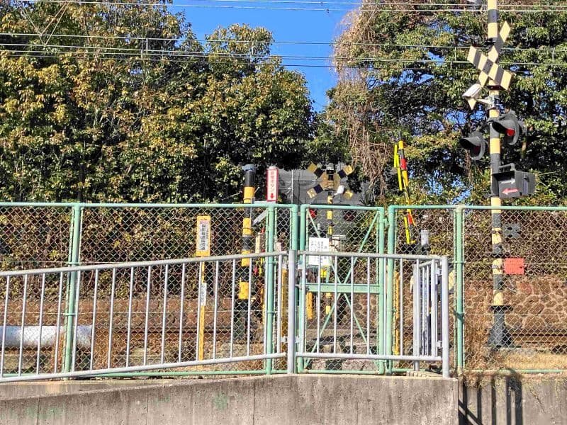 郡家西墓地