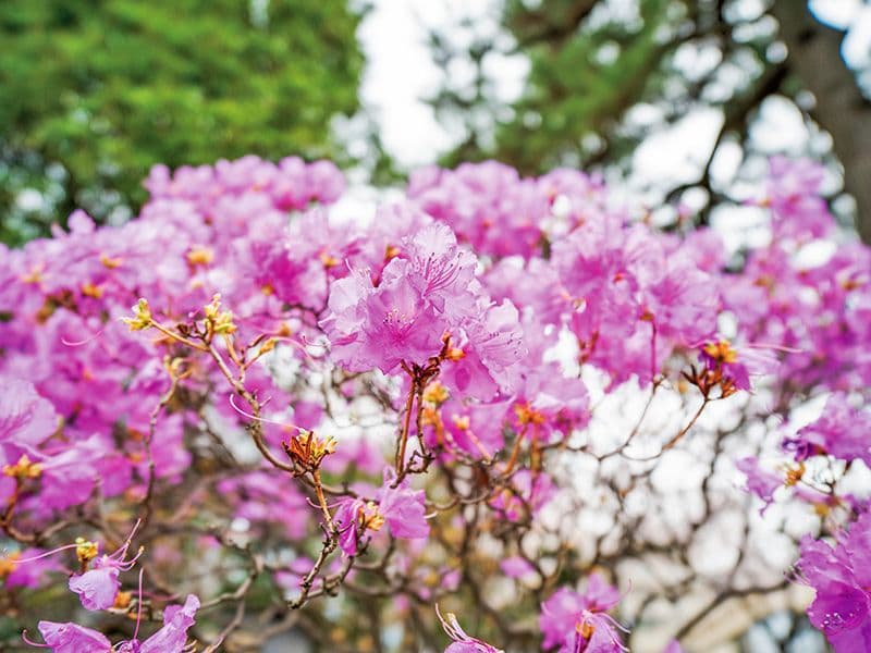 仙台新寺霊園 東秀院