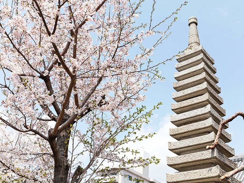 善福寺 緑樹の郷