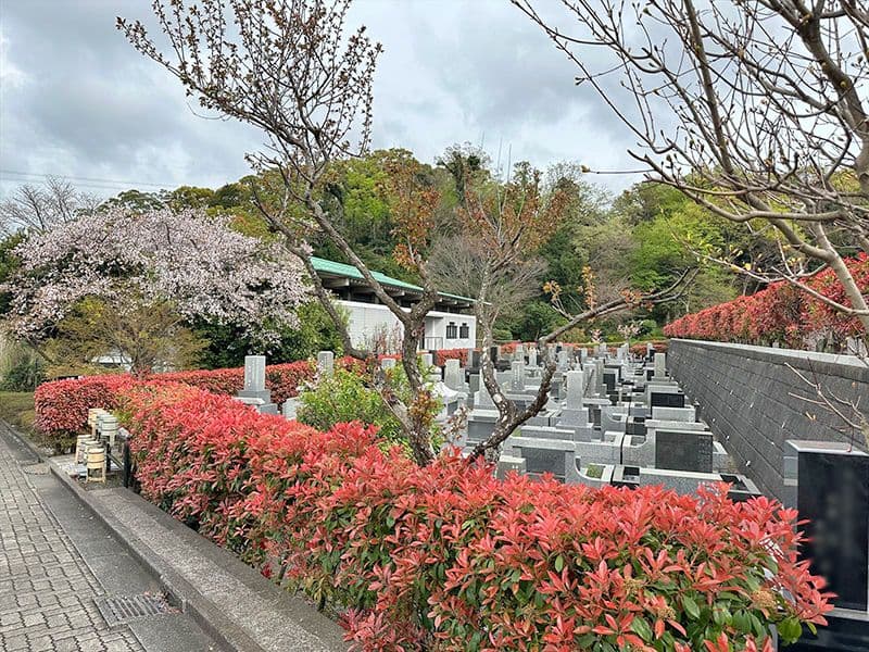 墓域風景