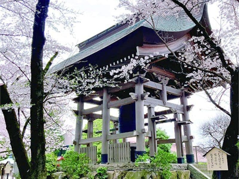 やくし霊園（薬師寺）