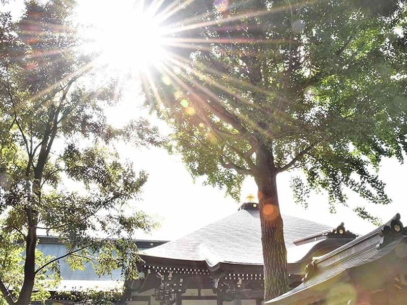 やくし霊園（薬師寺）