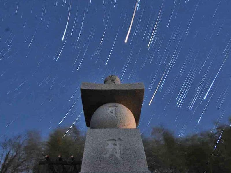 空海寺 天平墓苑