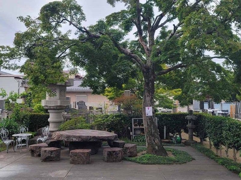 佐野大仏観音寺