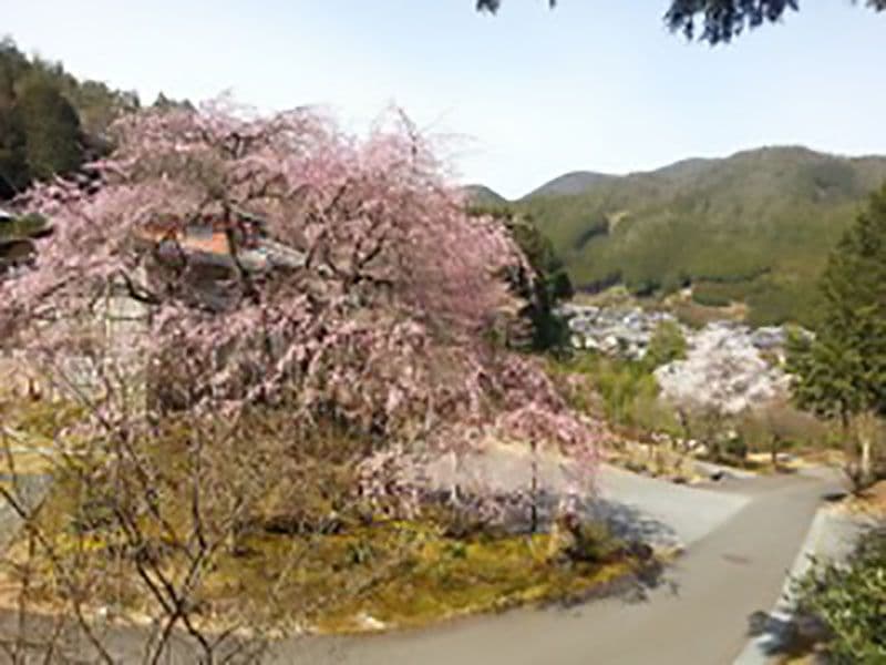 往生院
