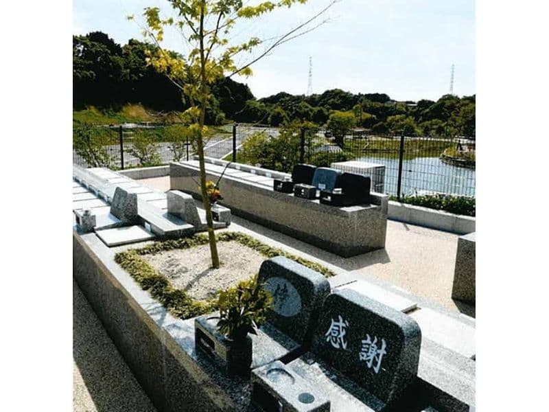 はままつ悠久の杜