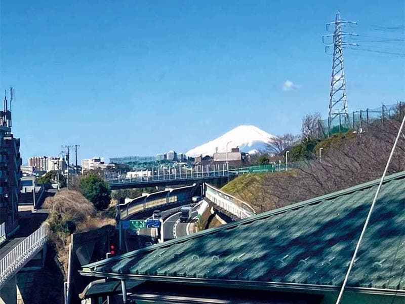 園内から富士山を望むことができます