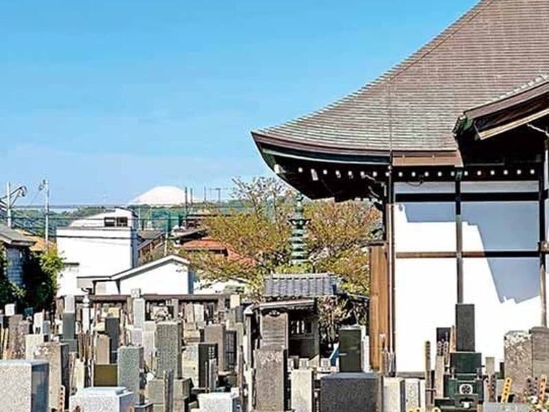 鎌倉材木座樹木葬墓地「月あかり」