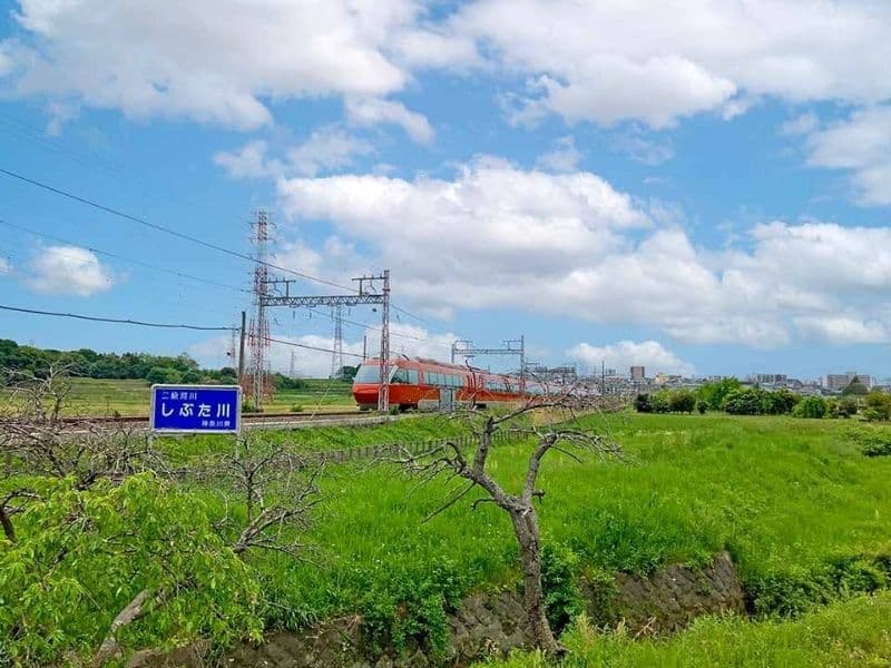 墓苑からの小田急線